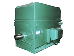 YTM/YHP/YMPS系列6KV磨煤机电机——西安泰富西玛电机（西安西玛电机集团股份有限公司）